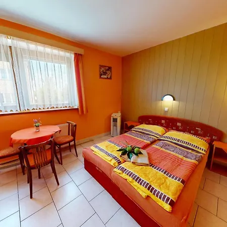 Guest house Penzion U Trebonskeho Kola