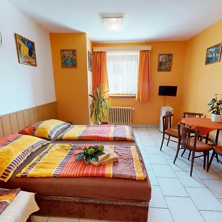 Guest house Penzion U Trebonskeho Kola 3*