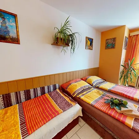Guest house Penzion U Trebonskeho Kola Trebon