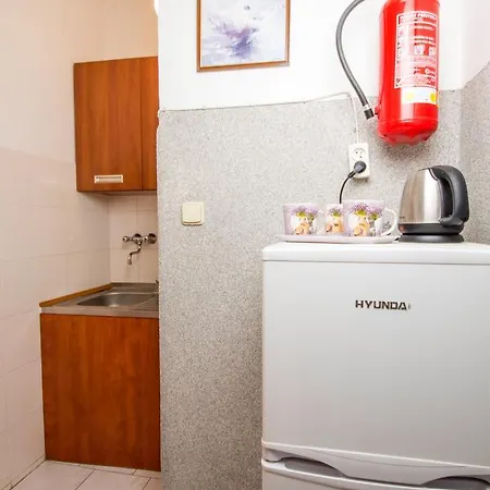 Penzion U Trebonskeho Kola 3*