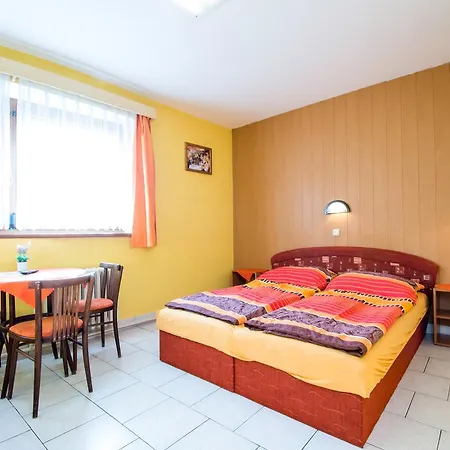 Guest house Penzion U Trebonskeho Kola 3*