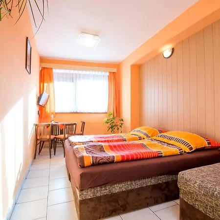 Penzion U Trebonskeho Kola Guest house 3*